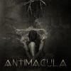 Foto de: antimacula