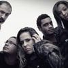 Foto de: Vitrine
