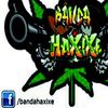 Foto de: Banda Haxixe