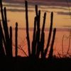 Foto de: Arkmed´s Nascimento