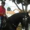 Foto de: D.Awilla O Rei Das Vaquejadas