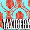 Foto de: Taxidermia