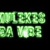 Foto de: Mulekes Da Vibe