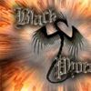 Foto de: Black Phoenix