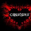 Foto de: CARDIÓIDES