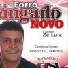 Foto de: Forró Gingado Novo Oficial