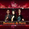 Foto de: Dominios do Forró