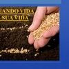 Foto de: FRANCISCO GUEDES.