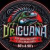 Foto de: Dr. Iguana