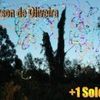 Foto de: Everson de Oliveira