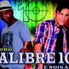 Foto de: forro calibre 10