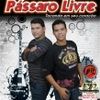 Foto de: Pássaro Livre