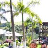 Foto de: Gleyton & Djalma