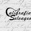 Foto de: CALIGRAFIA SELVAGEM