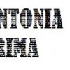 Foto de: sintonia rima