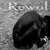 Foto de: Rewolts