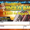 Foto de: ESTAÇÃO DO FRRÓ  ESTILO BANDA