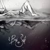 Foto de: Birds Can Fall