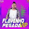 Foto de: FLAVINHO PEGADA VIP