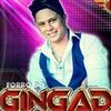 Foto de: Forró do Gingado