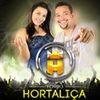 Foto de: forro hortaliça 2017