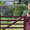 Foto de: Rob Vaqueiro