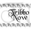 Foto de: Tribbo Now