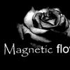 Foto de: Magnetic Flower