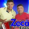 Foto de: Zecao do Forro Cleilton Show