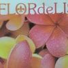 Foto de: flor de lis