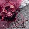 Foto de: Mass Of Shit