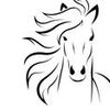 Foto de: Forró Cavalo de Luxo ORIGINAL