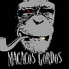 Foto de: Macacos Gordos