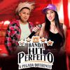 Foto de: Banda Hit Perfeito