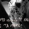 Foto de: CMD stronda