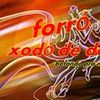 Foto de: Forro xodó de dois