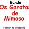 Foto de: o garotos de mimoso