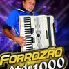 Foto de: Forrozão A Mais D1000
