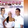 Foto de: FORROZÃO DRAGOES DE PELÚCIA
