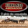 Foto de: Fernando Aboiador