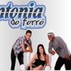Foto de: Sintonia do Forró