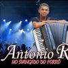 Foto de: ANTONIO REIS