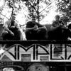 Foto de: AMPLIX
