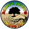 Foto de: Adama Roots