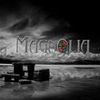 Foto de: Magnolia