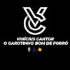 Foto de: VINICIUS CANTOR