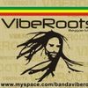 Foto de: Banda VibeRoots