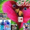 Foto de: banda mais amor