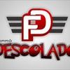 Foto de: Forró Descolado