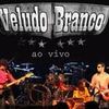 Foto de: Veludo Branco